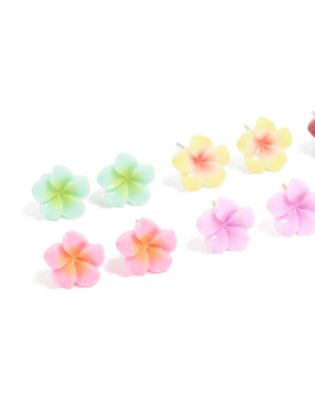 1019-multicoloured-frangipani-flower-stud-earrings-8-pack-2.webp Multicoloured Frangipani Flower Stud Earrings 8-Pack