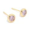 Waterproof Gold Plated Stainless Steel Cubic Zirconia February Birthstone Bezel Set Stud Earrings