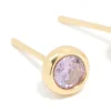 Waterproof Gold Plated Stainless Steel Cubic Zirconia February Birthstone Bezel Set Stud Earrings