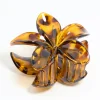 Neutral Acrylic Frangipani Flower Claw Clip