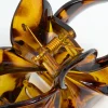 Neutral Acrylic Frangipani Flower Claw Clip