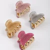 Acrylic Glitter Claw Clip 4-Pack