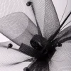 Black Quill Fascinator