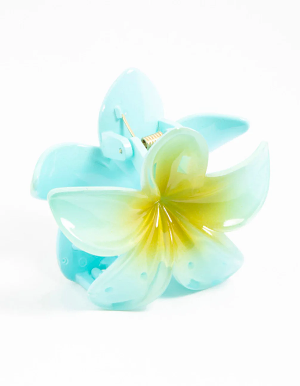 2633-blue-frangipani-hair-claw-clip-2.webp Blue Frangipani Hair Claw Clip
