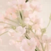Blush Blossom Crown