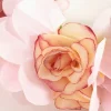 Blush Floral Crown Headband