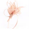 2738-blush-petal-looped-mesh-sinamay-fascinator-3.webp Blush Petal Looped Mesh Sinamay Fascinator