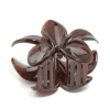 Brown Solid Claw Clip