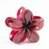 2815-burgunday-frangipani-hair-claw-clip-1.webp Burgunday Frangipani Hair Claw Clip