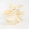 Cream Frangipani Hair Claw Clip