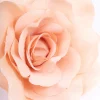3224-fabric-large-flower-blush-choker-2.webp Fabric Large Flower Blush Choker