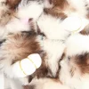 3298-fluffy-brown-bunny-keychain-3.webp Fluffy Brown Bunny Keychain