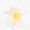 Frangipani Ombre Claw Clip