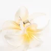 Frangipani Ombre Claw Clip