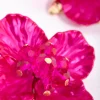 3322-fuchsia-pearlised-flower-stud-earrings-3.webp Fuchsia Pearlised Flower Stud Earrings