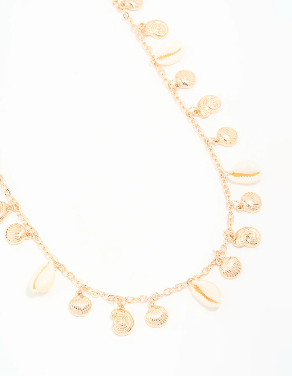 3327-genuine-shell-gold-ribbed-shell-waist-chain-1.webp Genuine Shell & Gold Ribbed Shell Waist Chain