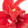 41-red-frangipani-claw-clip-3.webp Red Frangipani Claw Clip