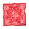 572-red-paisley-print-fabric-scarf-2.webp Red Paisley Print Fabric Scarf