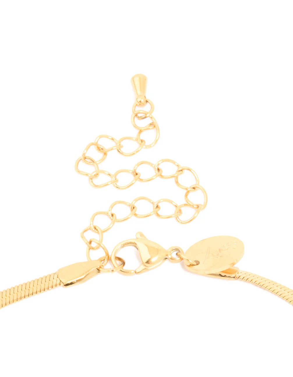 735-waterproof-gold-plated-stainless-steel-fine-flat-snake-chain-necklace-5.webp Waterproof Gold Plated Stainless Steel Fine Flat Snake Chain Necklace