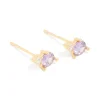 Waterproof Gold Plated Stainless Steel Cubic Zirconia Duo February Birthstone Stud Earrings